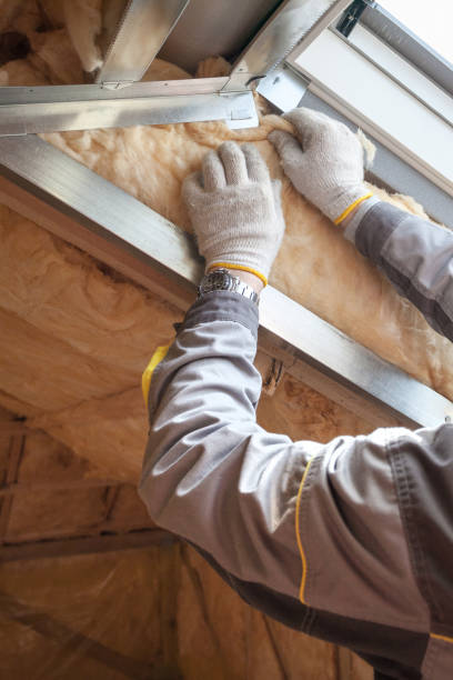 Best Insulation for New Construction  in Loudoun Lley Estates, VA